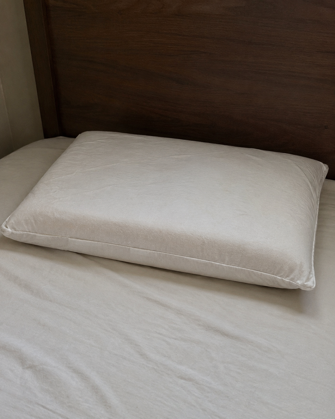 Ordinary Pillow
